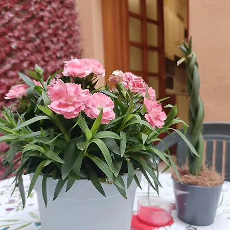 Il Giardino Segreto * 루카
