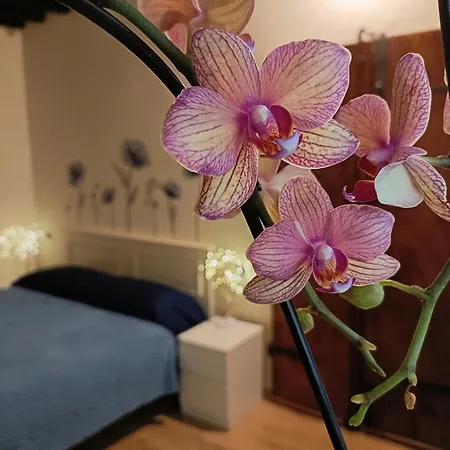 Il Giardino Segreto 아파트