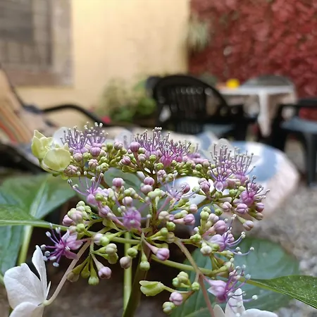 Il Giardino Segreto