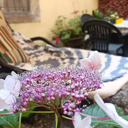 Il Giardino Segreto 아파트