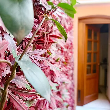 Il Giardino Segreto Apartman *